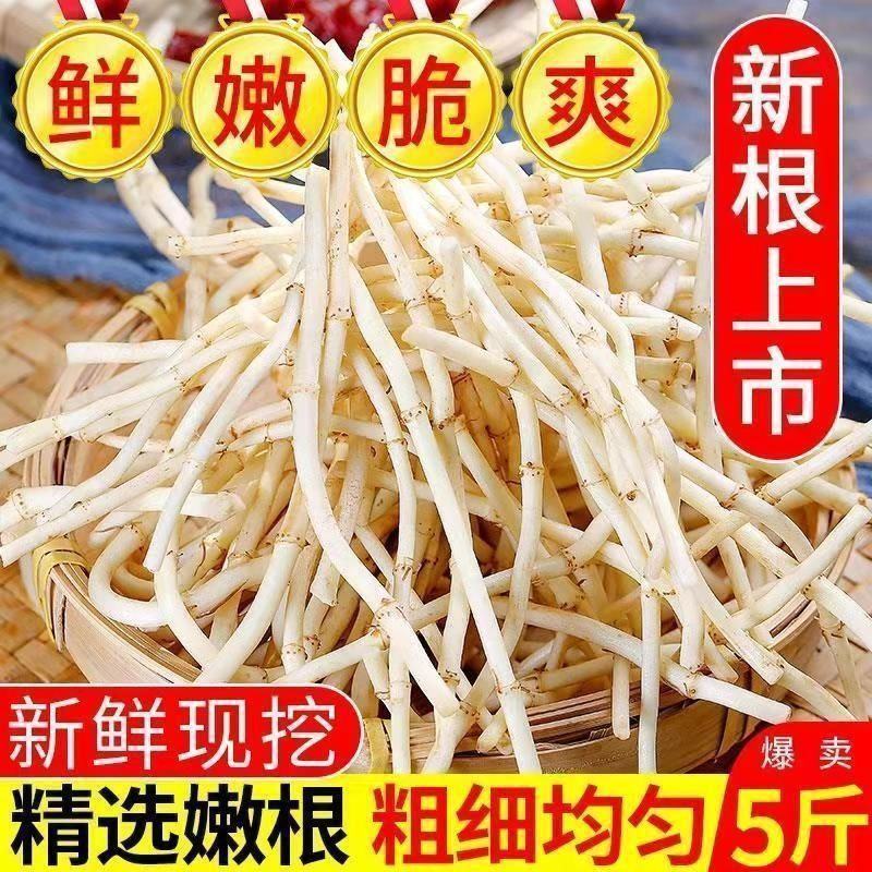 现挖新鲜鱼腥草折耳根侧耳根嫩根节节根下饭菜新鲜蔬菜包邮