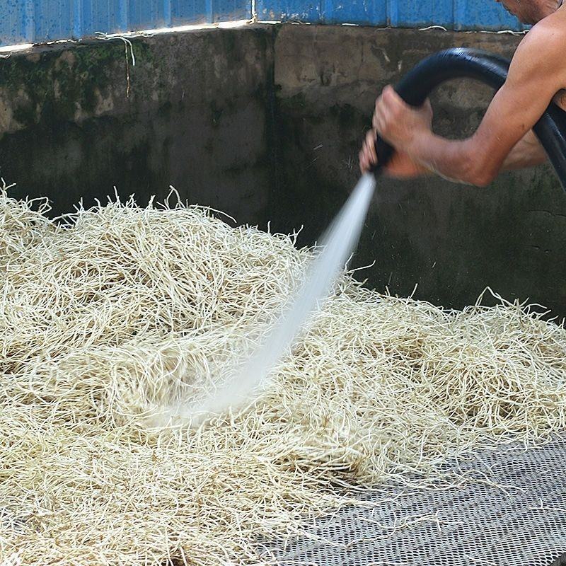 现挖新鲜鱼腥草折耳根侧耳根嫩根节节根下饭菜新鲜蔬菜包邮