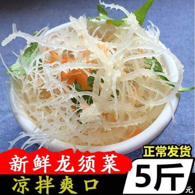 龙须菜凉拌菜海产海草海石花菜海藻鹿角菜海半干潮菜盐石