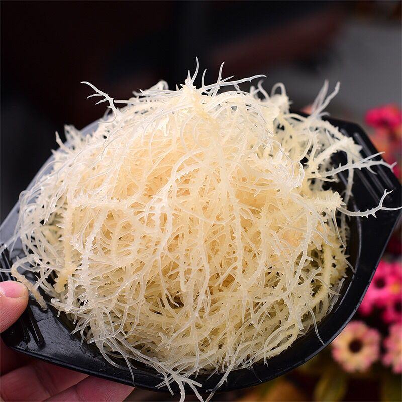 龙须菜凉拌菜海产海草海石花菜海藻鹿角菜海半干潮菜盐石