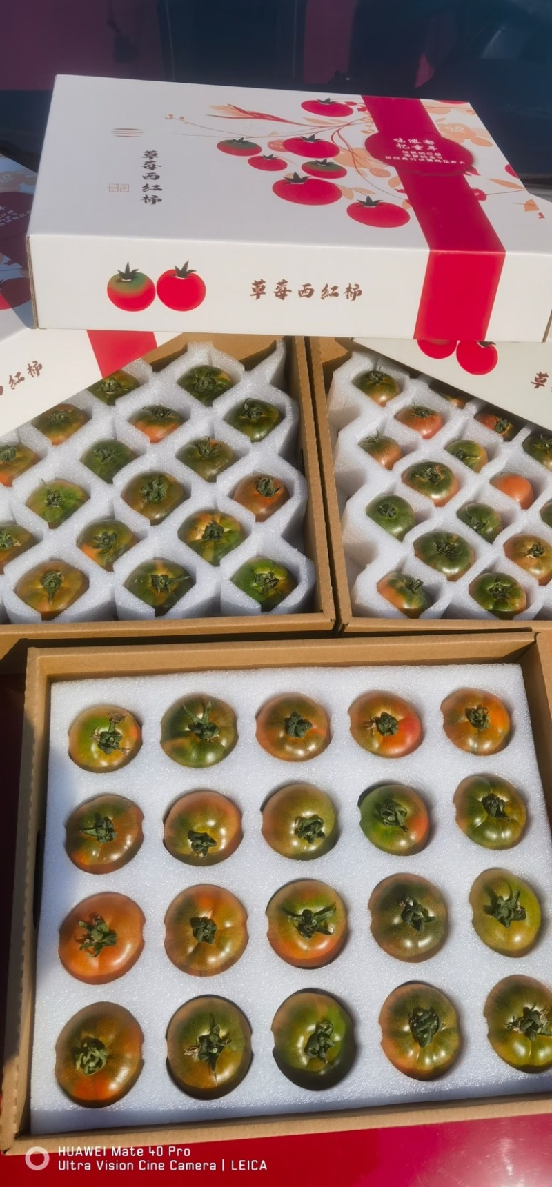 海阳草莓西红柿/代收/代办/整车/团购/一件代发