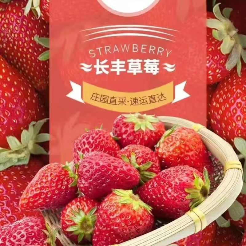 长丰红颜草莓