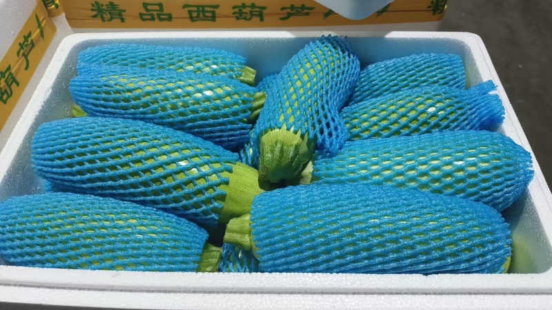 精品绿皮西葫芦