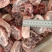 羊脖骨满肉羔羊脖新货新日期源头厂家