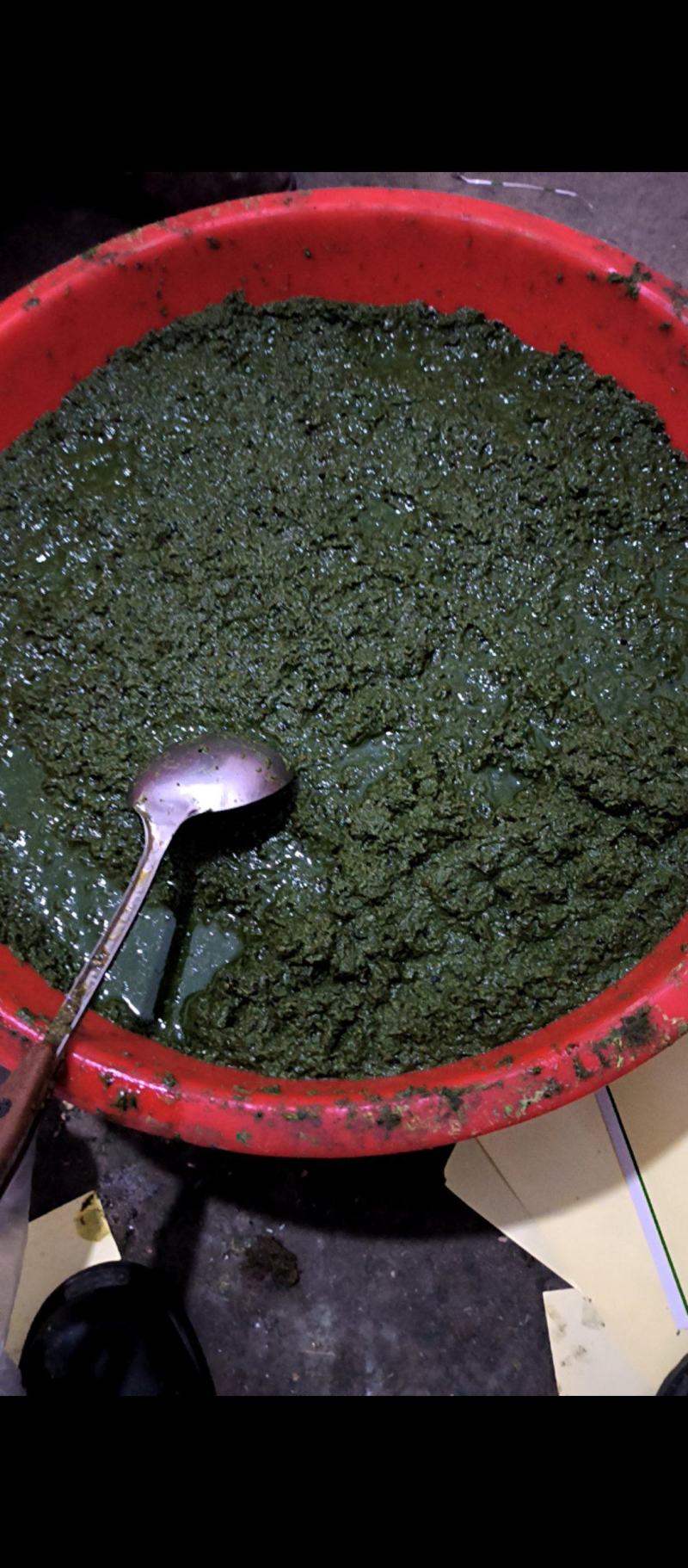 发部纯正野生韭菜花信息，是呼伦贝尔正宗野韭菜花。