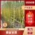 云南黄金甘蔗大量上市，可大量供应市场，电商，商超
