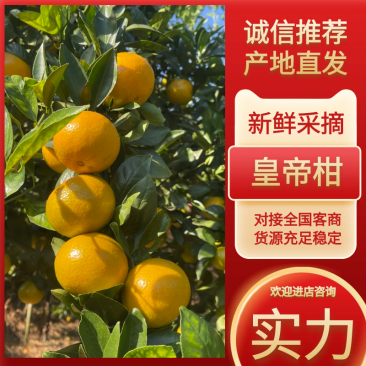 皇帝柑各种电商果社区团购市场货高次果市场商超