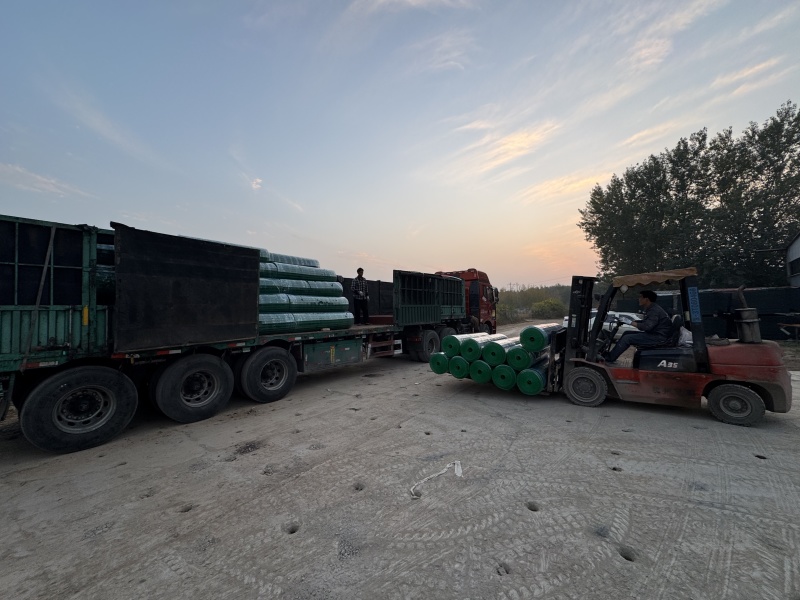 鸡网养殖荷兰网绿色网格铁丝围栏网防护网拦鸡网鸭鹅圈羊网