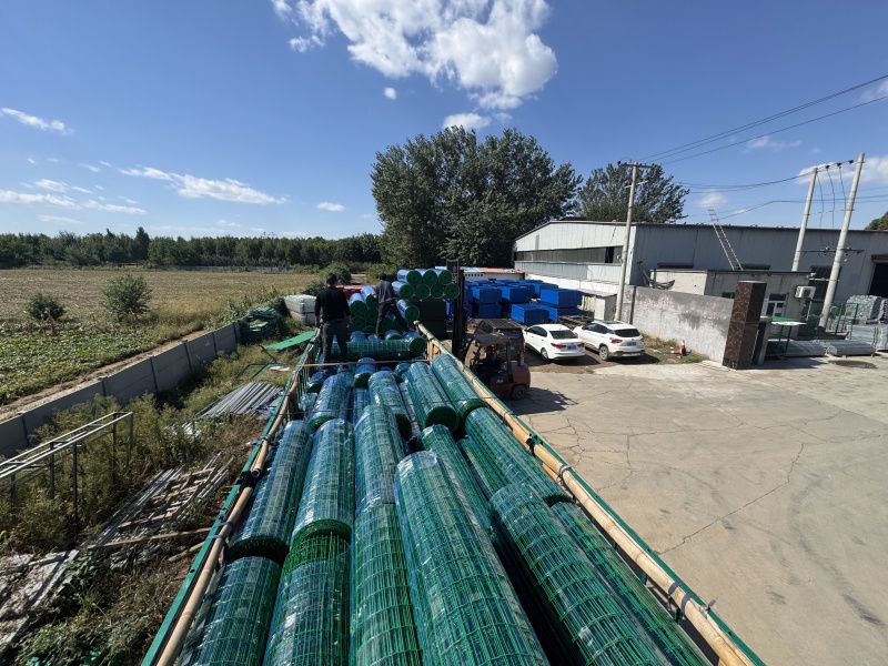 鸡网养殖荷兰网绿色网格铁丝围栏网防护网拦鸡网鸭鹅圈羊网