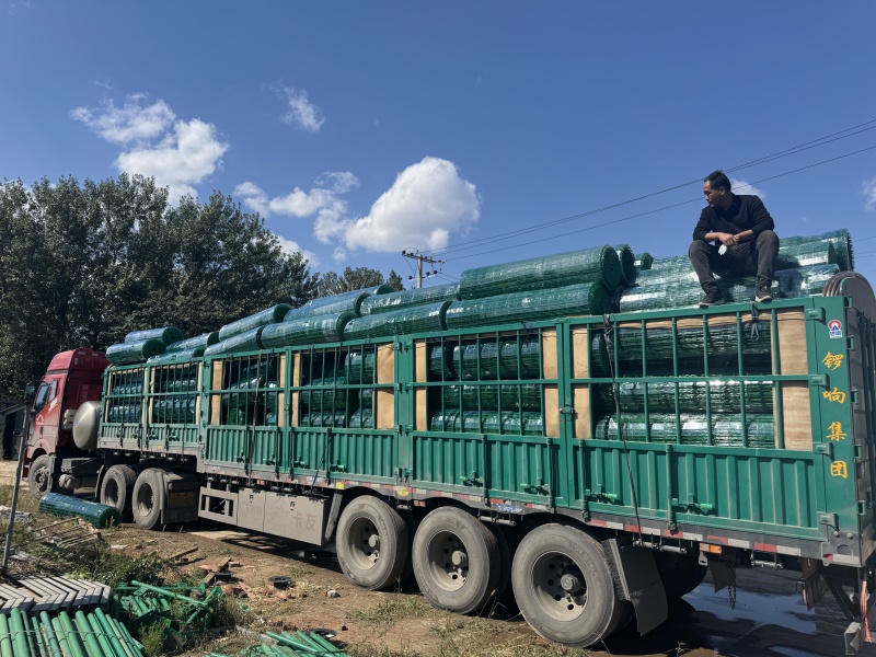 鸡网养殖荷兰网绿色网格铁丝围栏网防护网拦鸡网鸭鹅圈羊网