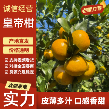 广东皇帝柑供各种电商果多多社区团购高次果市场果