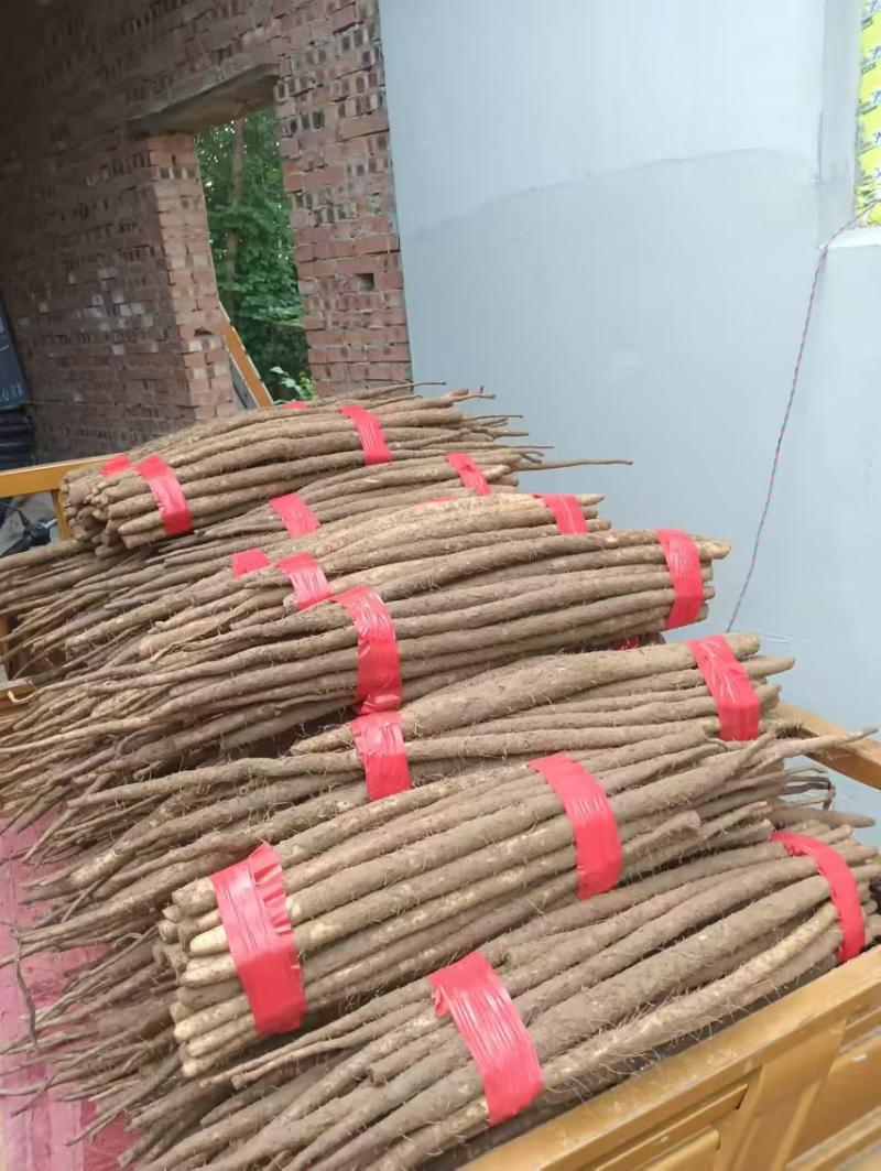 河北铁棍山药衡水山药产地直发规格齐全电商货市场货