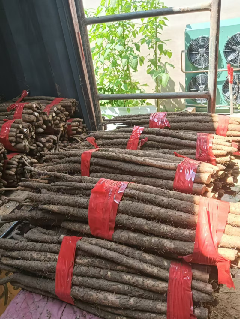 河北铁棍山药衡水山药产地直发规格齐全电商货市场货