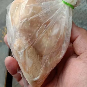 小西装鸡
