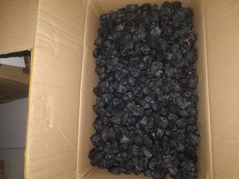自己当地的软枣无核非常好吃