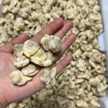 花蛤肉，电商花蛤肉，无沙花甲肉，团购花甲肉