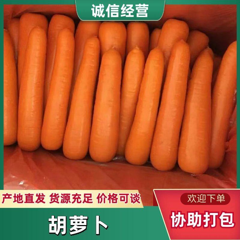 精品胡萝卜带樱水洗大量有货货源充足欢迎老板合作