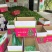 基地直供大量精品新苗泡椒，露天种植，品质保证，果型漂亮，