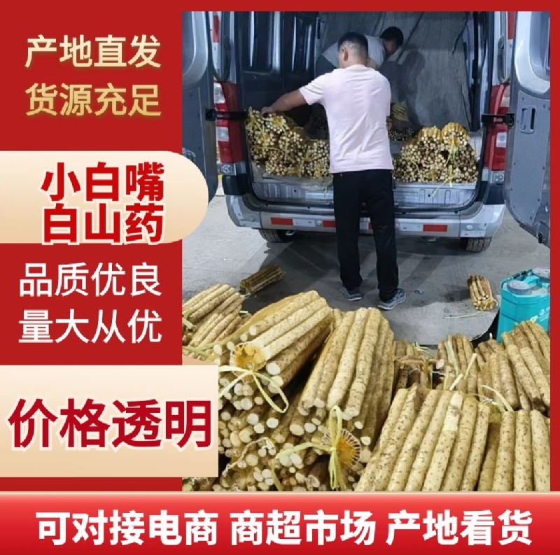 河北铁棍山药产地直发发全国只做高质量产品希望广大客户合作