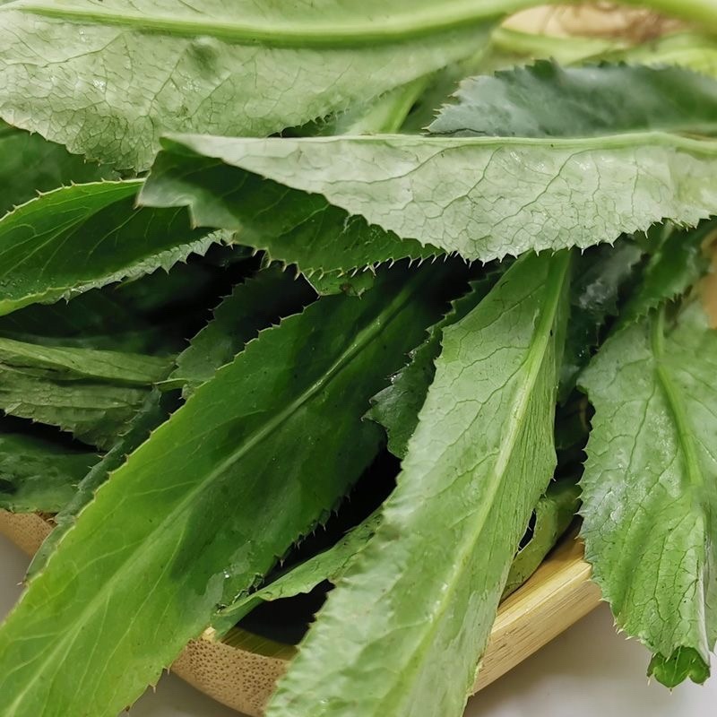 5斤广西大叶香菜大芫蒵鱼生配料带根可种
