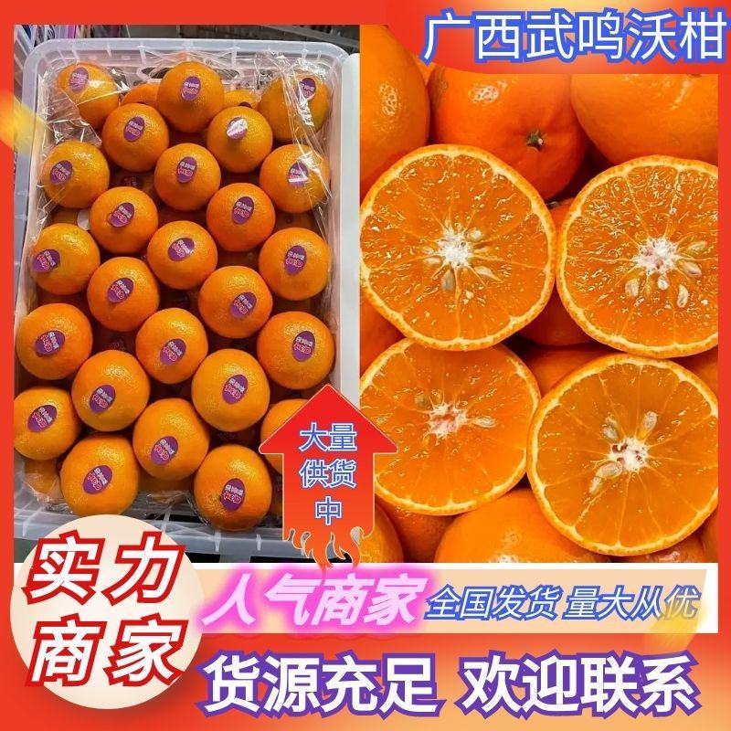 广西武鸣沃柑，供应电商，社区团购，商超，各种规格