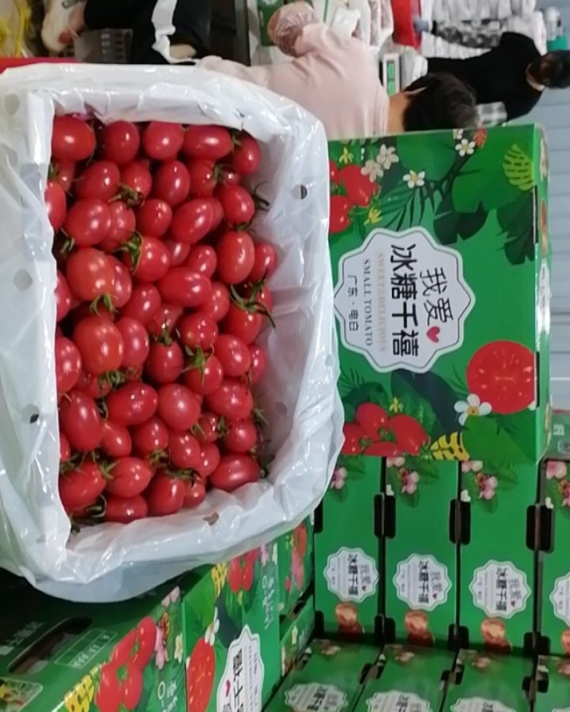 广东电白千禧圣女果，大量上市了，有需要的老板可以联系我