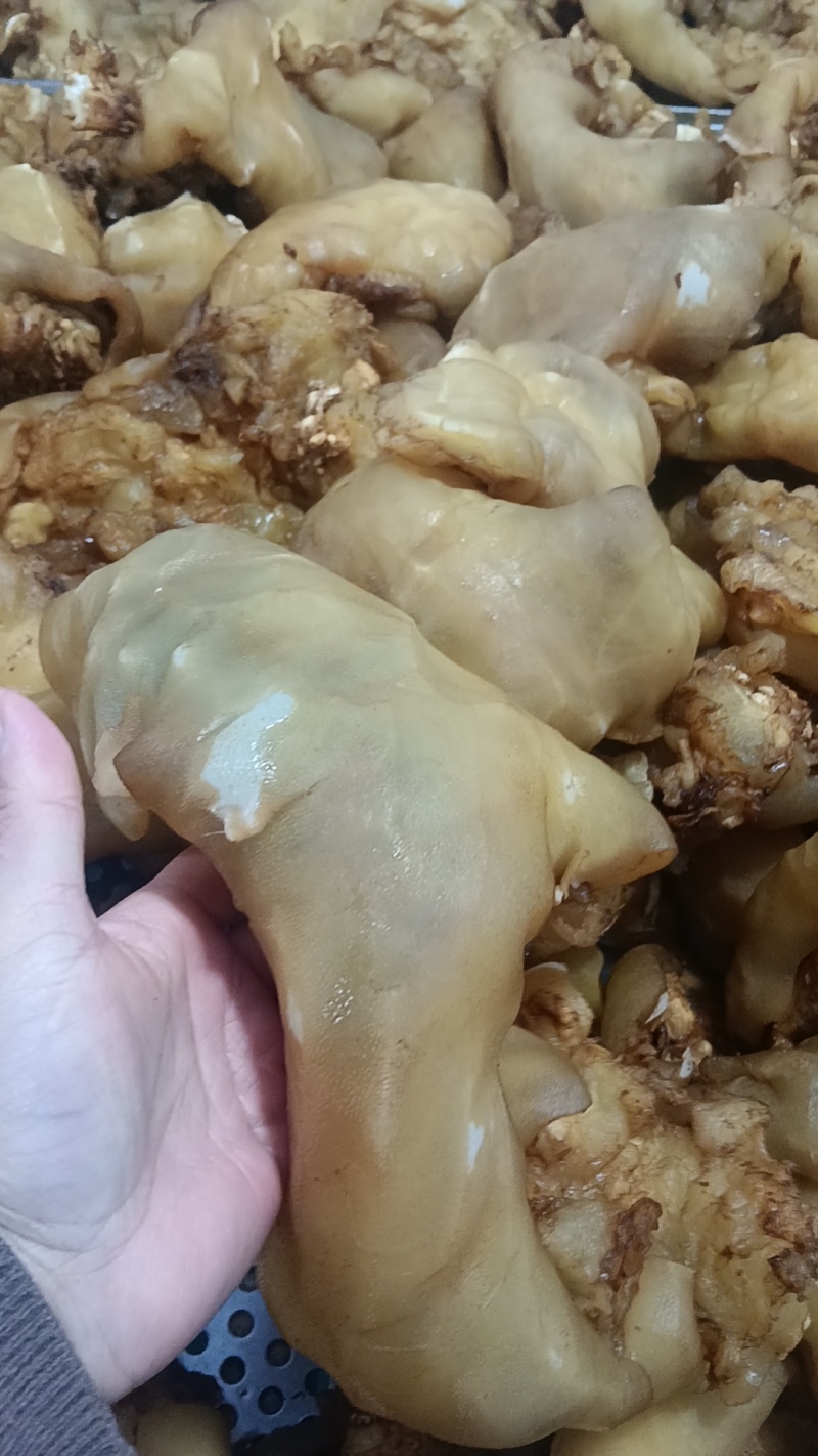 【年货优选】五香牛蹄筋半成品牛蹄筋大厂直发量大价优欢迎致电