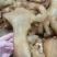 【年货优选】五香牛蹄筋半成品牛蹄筋大厂直发量大价优欢迎致电