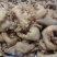 【年货优选】五香牛蹄筋半成品牛蹄筋大厂直发量大价优欢迎致电