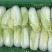 娃娃菜