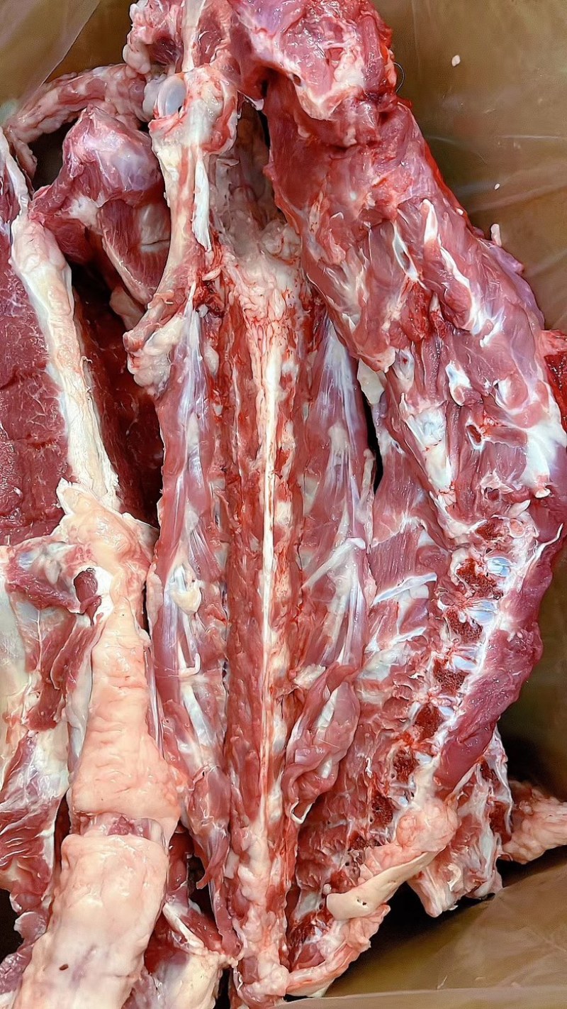满肉羊蝎子羔羊加肉款多肉羊蝎子羊副产品纯干货