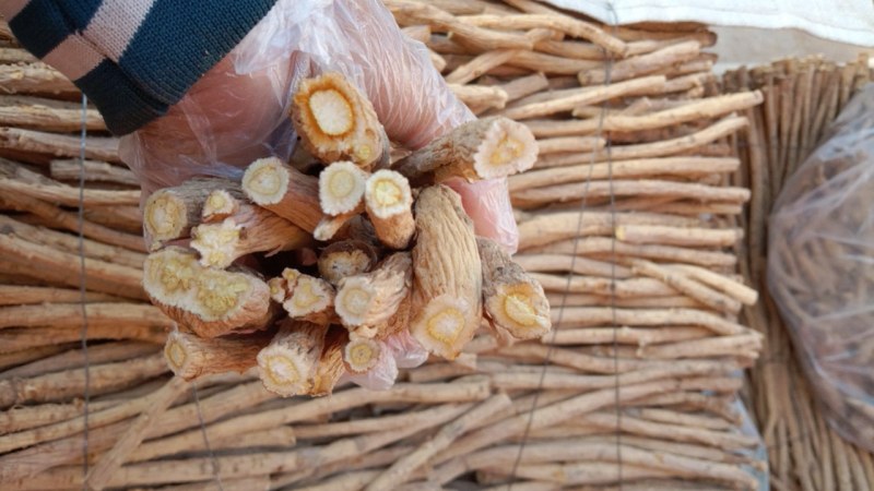 今年的新关防风。颜色好，价格高质量有保障