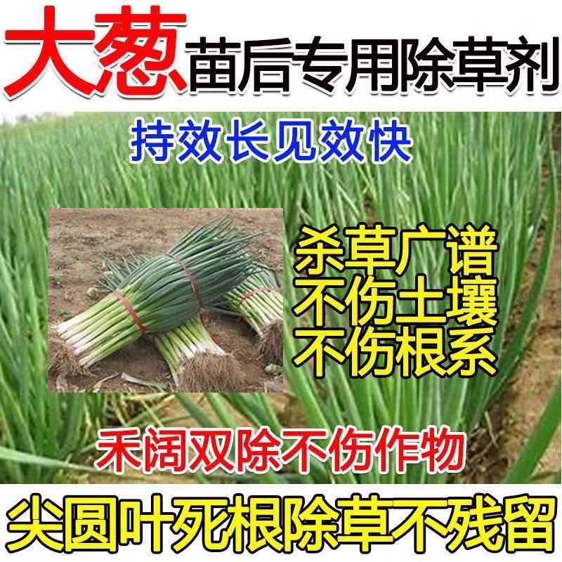 大葱除草剂，香葱圆葱大蒜韭菜，禾阔双除不伤作物
