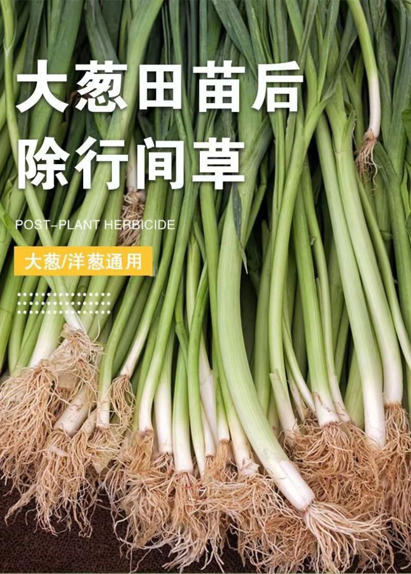 大葱除草剂，香葱圆葱大蒜韭菜，禾阔双除不伤作物