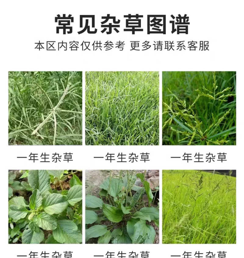 大葱除草剂，香葱圆葱大蒜韭菜，禾阔双除不伤作物