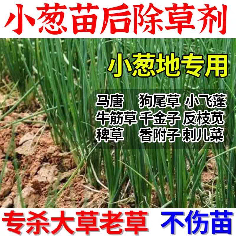 大葱除草剂，香葱圆葱大蒜韭菜，禾阔双除不伤作物