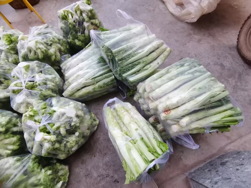 四川青菜棒棒青菜