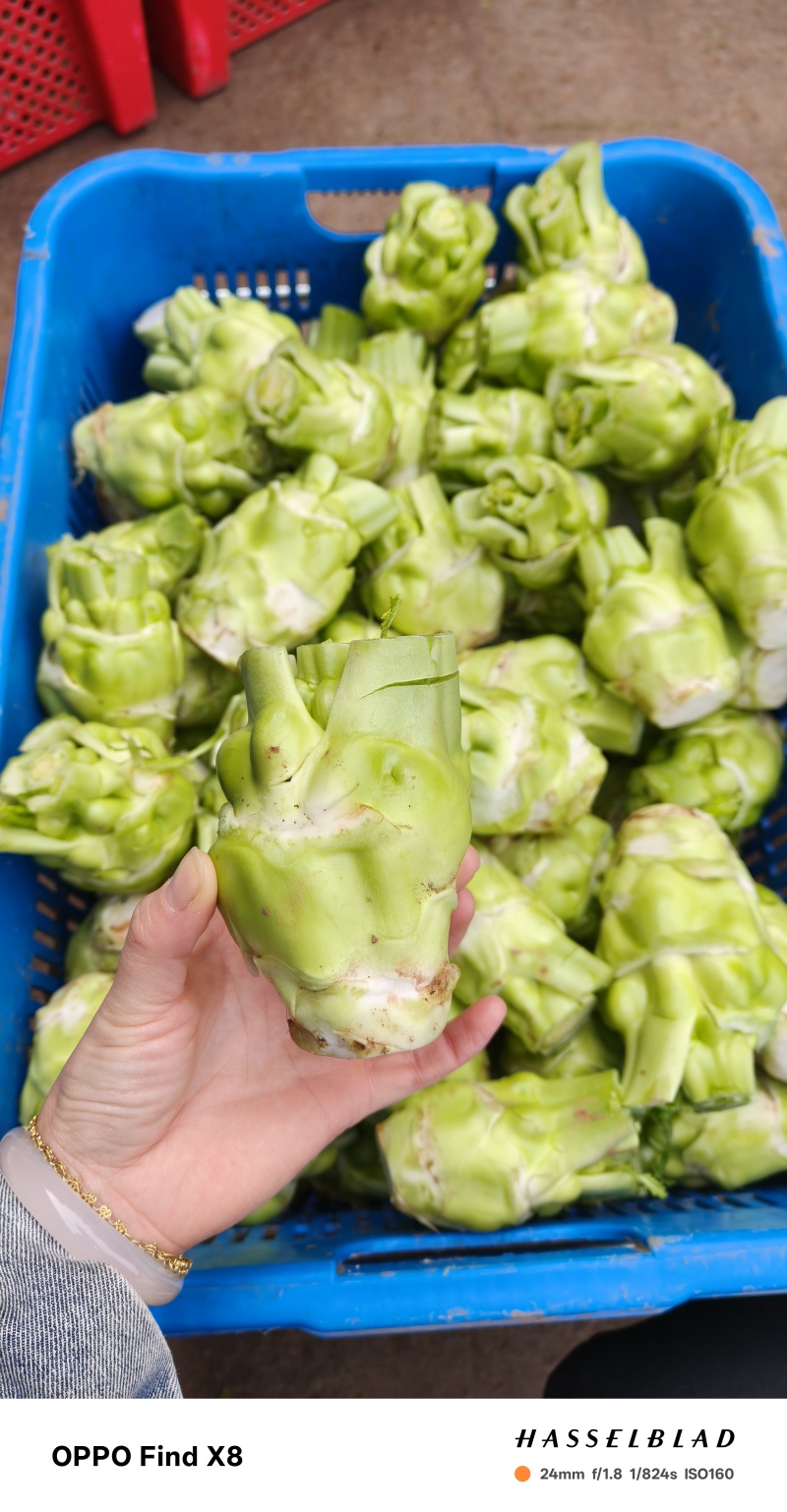 四川榨菜常年供应大量有货