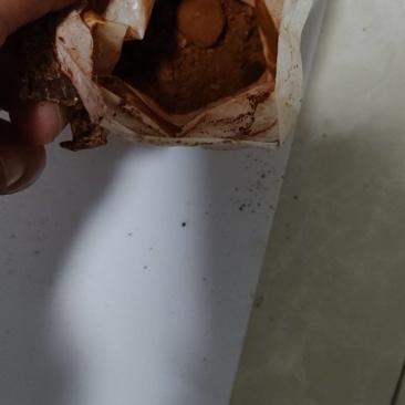 卖天然牛黄