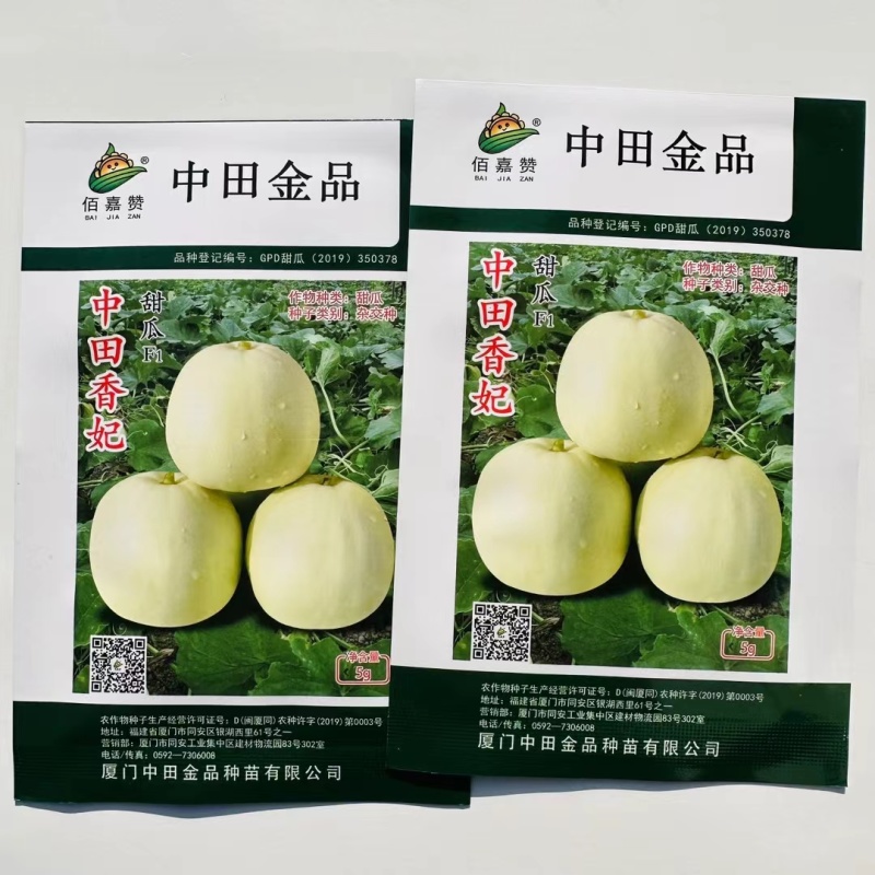 正品中田香妃甜瓜种子原装薄皮甜瓜种子高糖乳白色香瓜种籽香