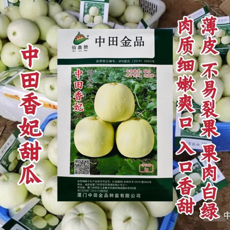 正品中田香妃甜瓜种子原装薄皮甜瓜种子高糖乳白色香瓜种籽香