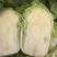山东黄心白菜，品质佳，货量充足，欢迎咨询