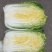 山东黄心白菜，品质佳，货量充足，欢迎咨询