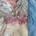 带皮羊肉20一斤，一件19斤