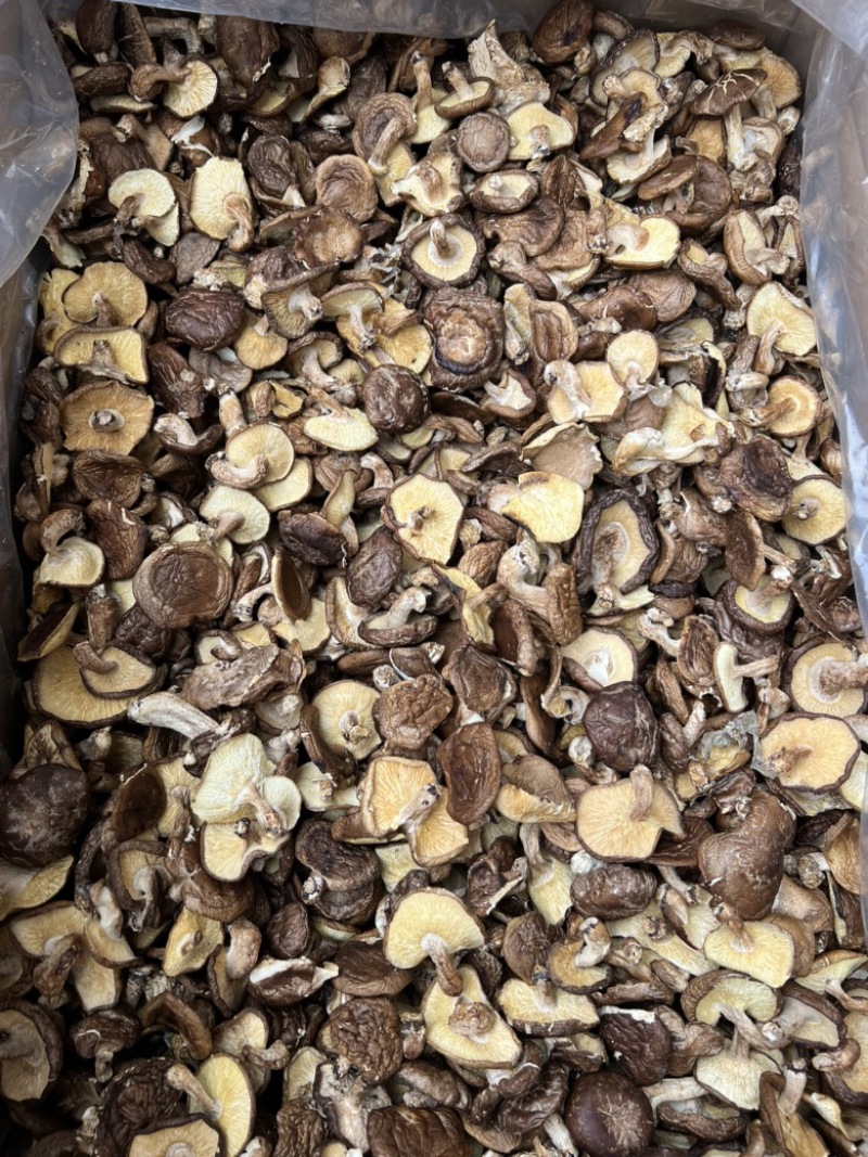 带脚薄菇香信菇香味十足