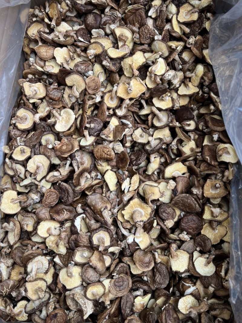 带脚薄菇香信菇香味十足