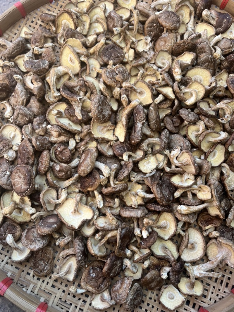 带脚薄菇香信菇香味十足