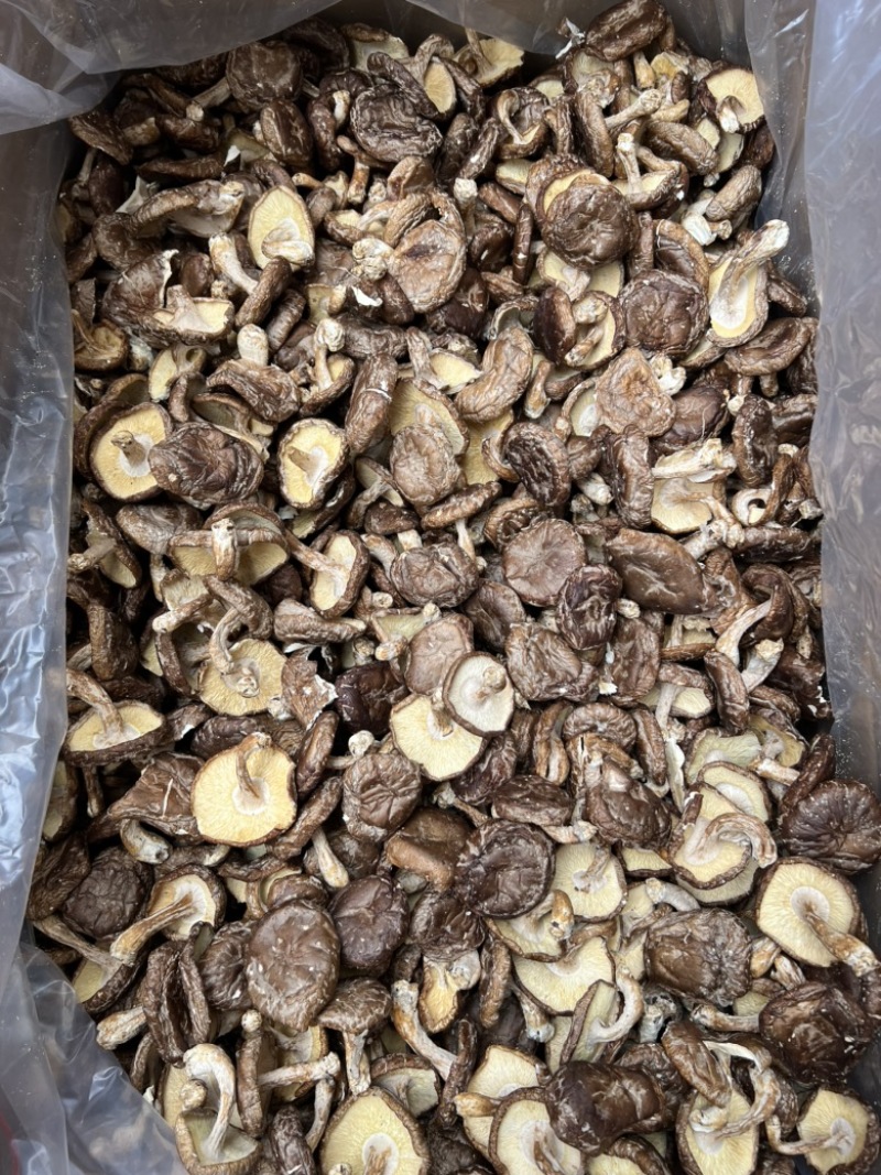 带脚薄菇香信菇香味十足