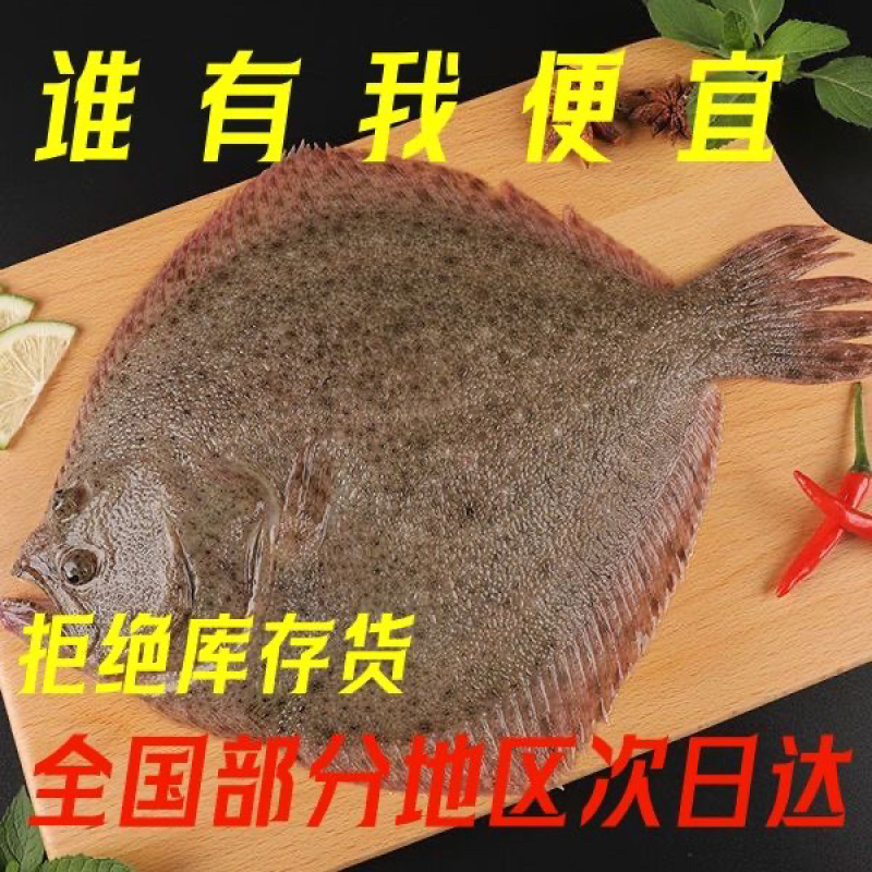 江苏连云港供应冰鲜多宝鱼速冻多宝鱼