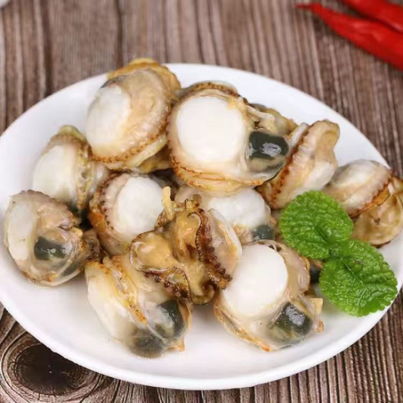 小红贝港湾贝常年供应批发市场